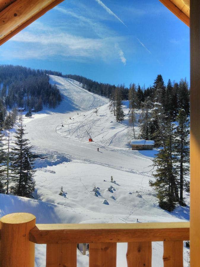 Almzauber Chalets - Haus Enzian Inkl Infrarotliegen ホーホ エクステリア 写真