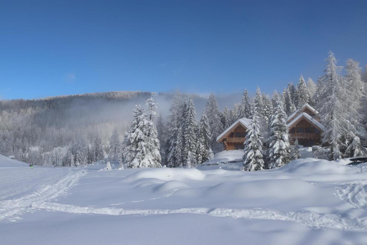 Almzauber Chalets - Haus Enzian Inkl Infrarotliegen ホーホ エクステリア 写真