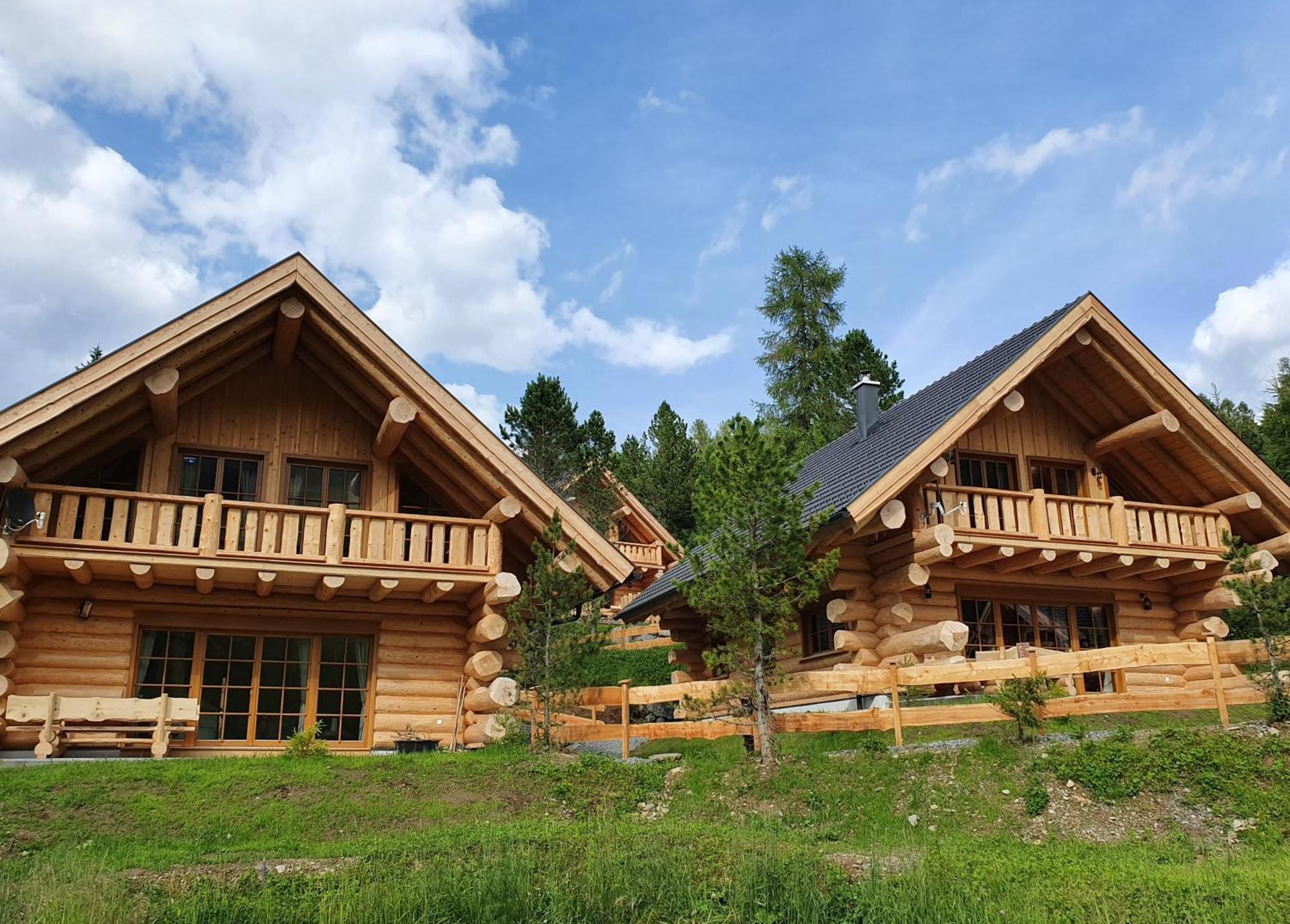 Almzauber Chalets - Haus Enzian Inkl Infrarotliegen ホーホ エクステリア 写真